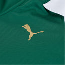 Camisa SE Palmeiras 2024/25 Home