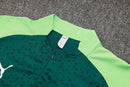 Conjunto Palmeiras Treino 2024/25