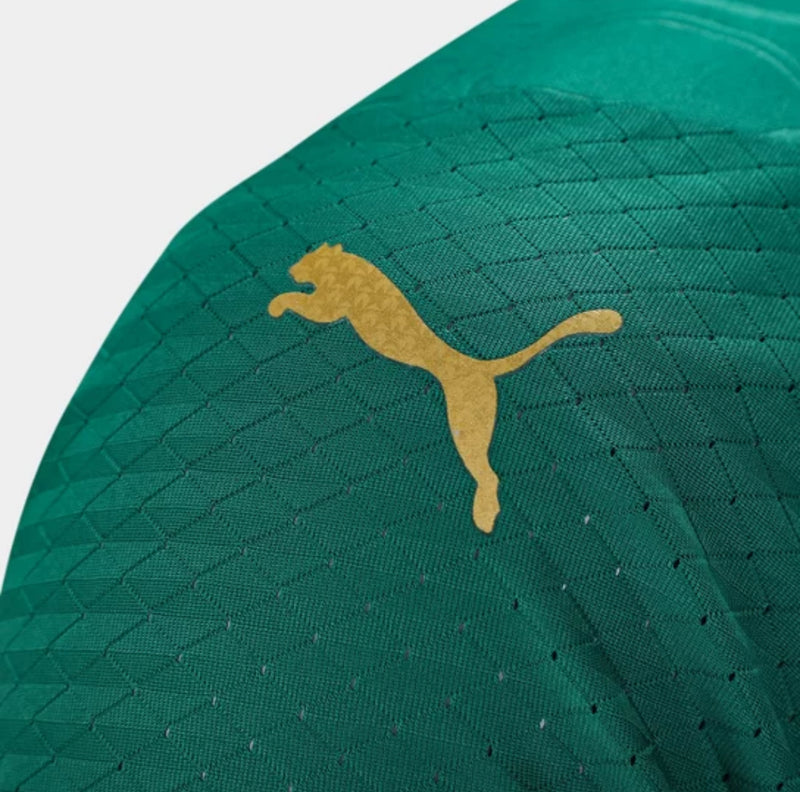 Camisa Palmeiras 2024/25 Home Versão jogador