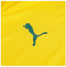 Camisa Palmeiras 2025/26 III